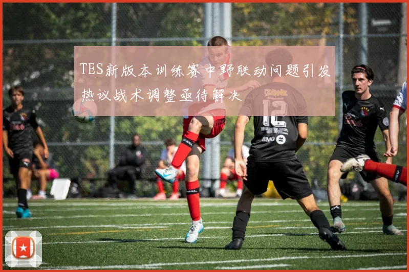 TES新版本训练赛中野联动问题引发热议战术调整亟待解决